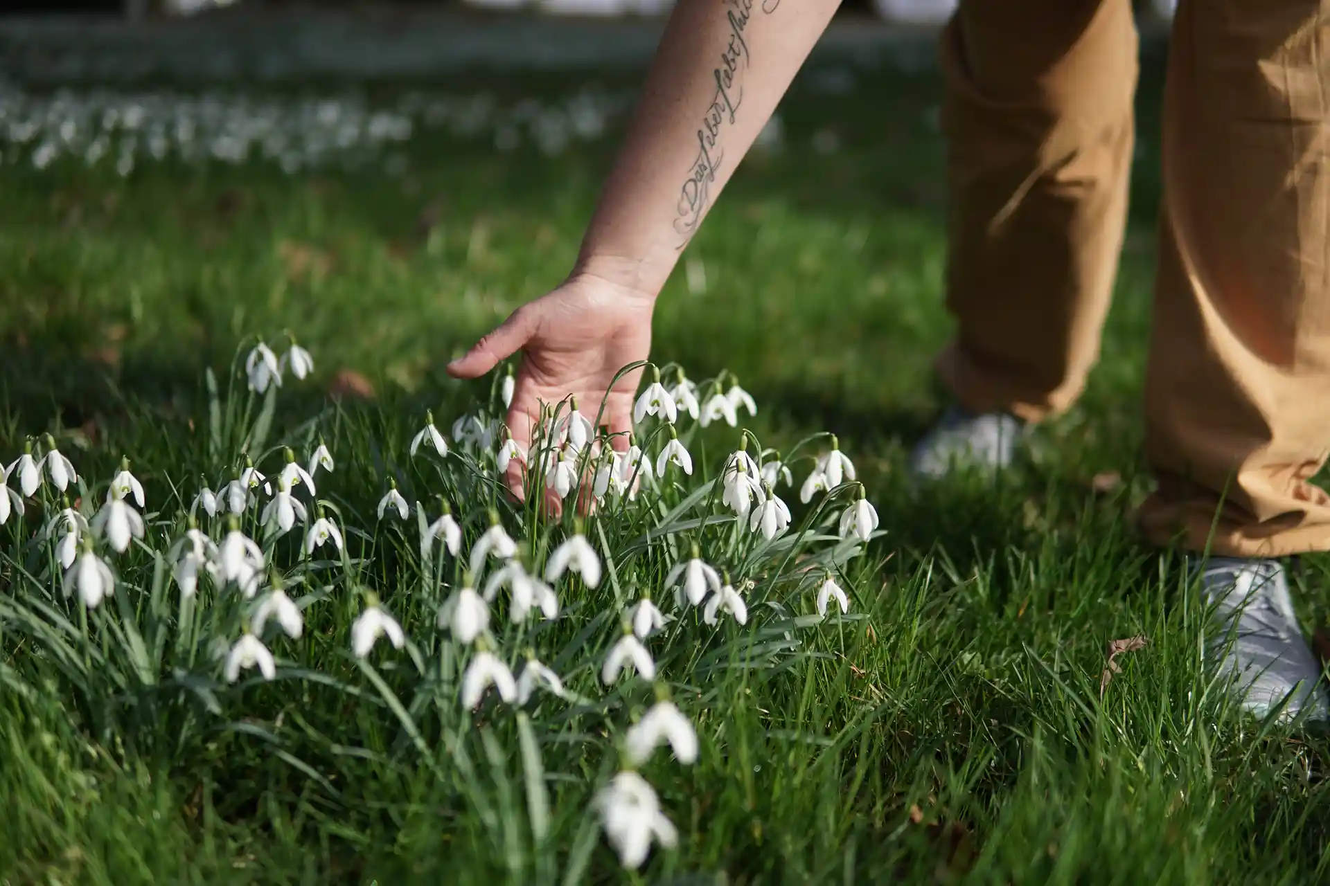 Andrea Kling streicht mit der Hand über ein Blumenfeld